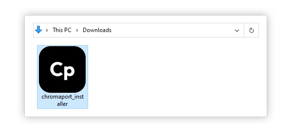 Chromaport installer icon