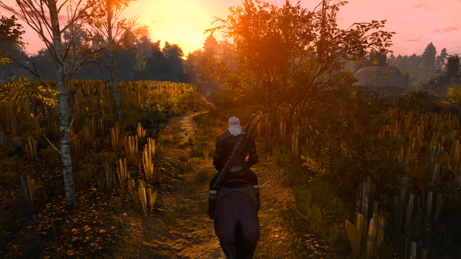 The Witcher 3 gameplay featuring Geralt exploring the Continent